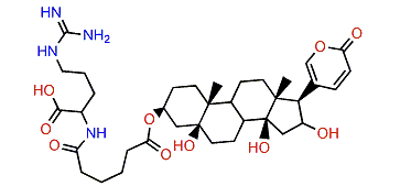 3-(N-Adipoyl argininyl)-hydroxytelocinobufagin